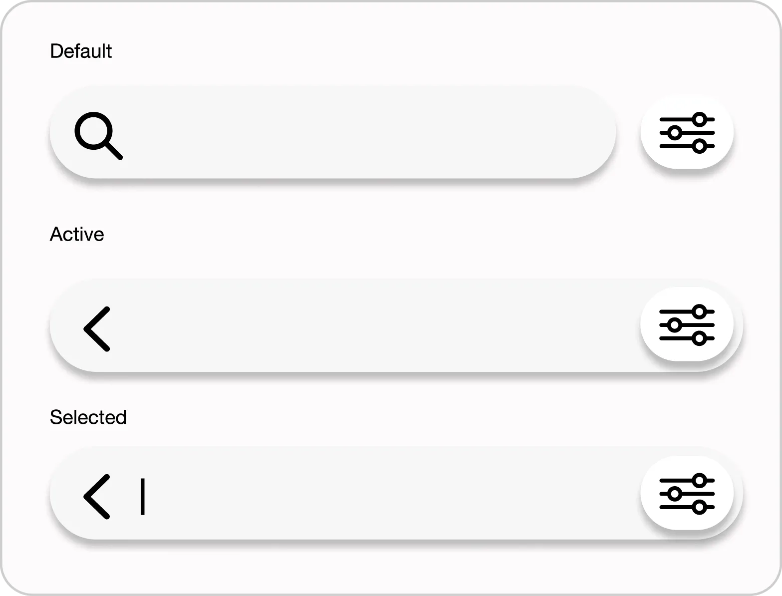 Search Bar